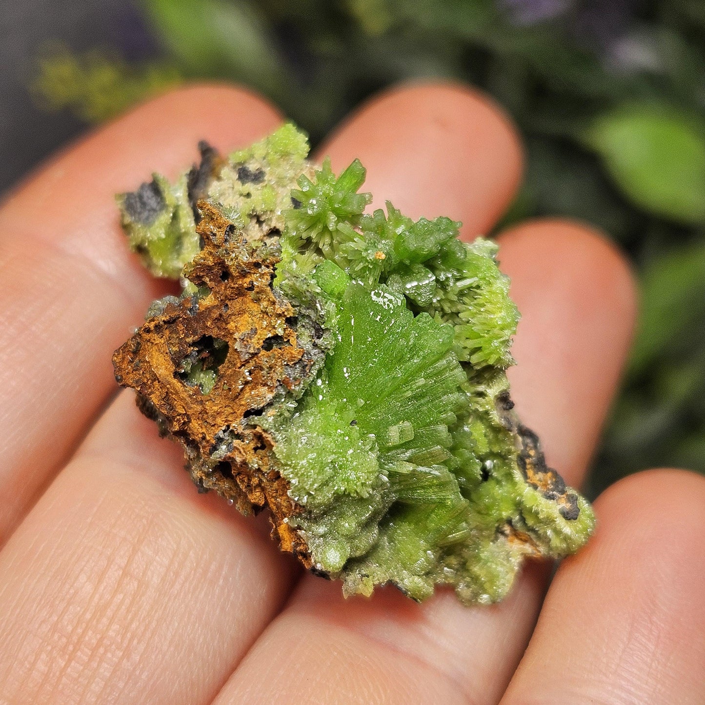 Pyromorphite Crystal