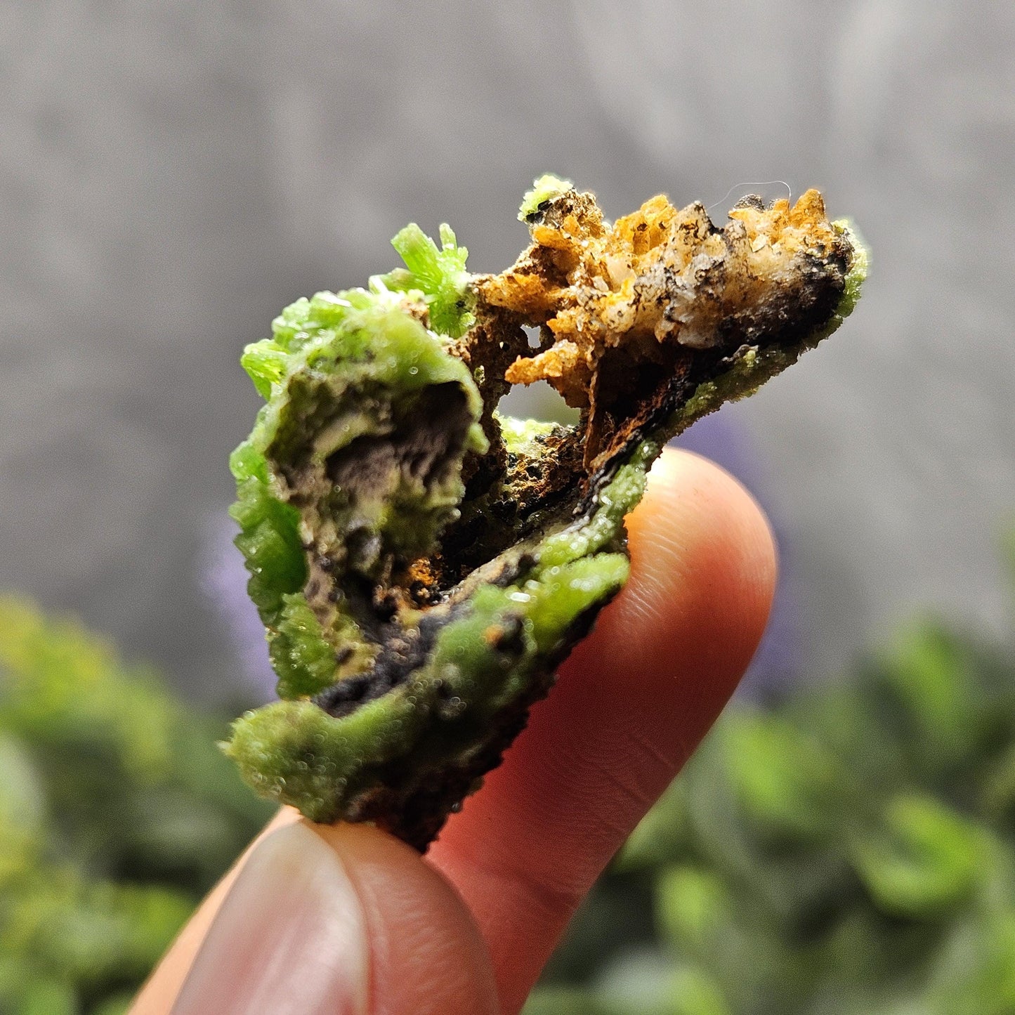 Pyromorphite Crystal