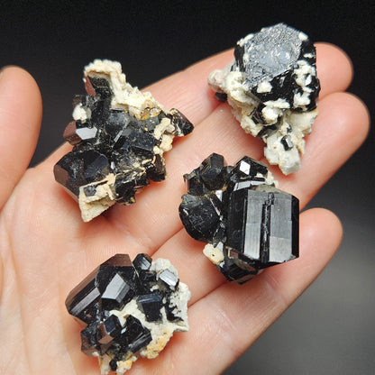 Black Tourmaline Cluster