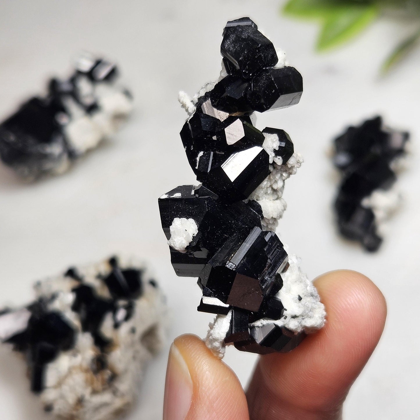 Black Tourmaline Cluster