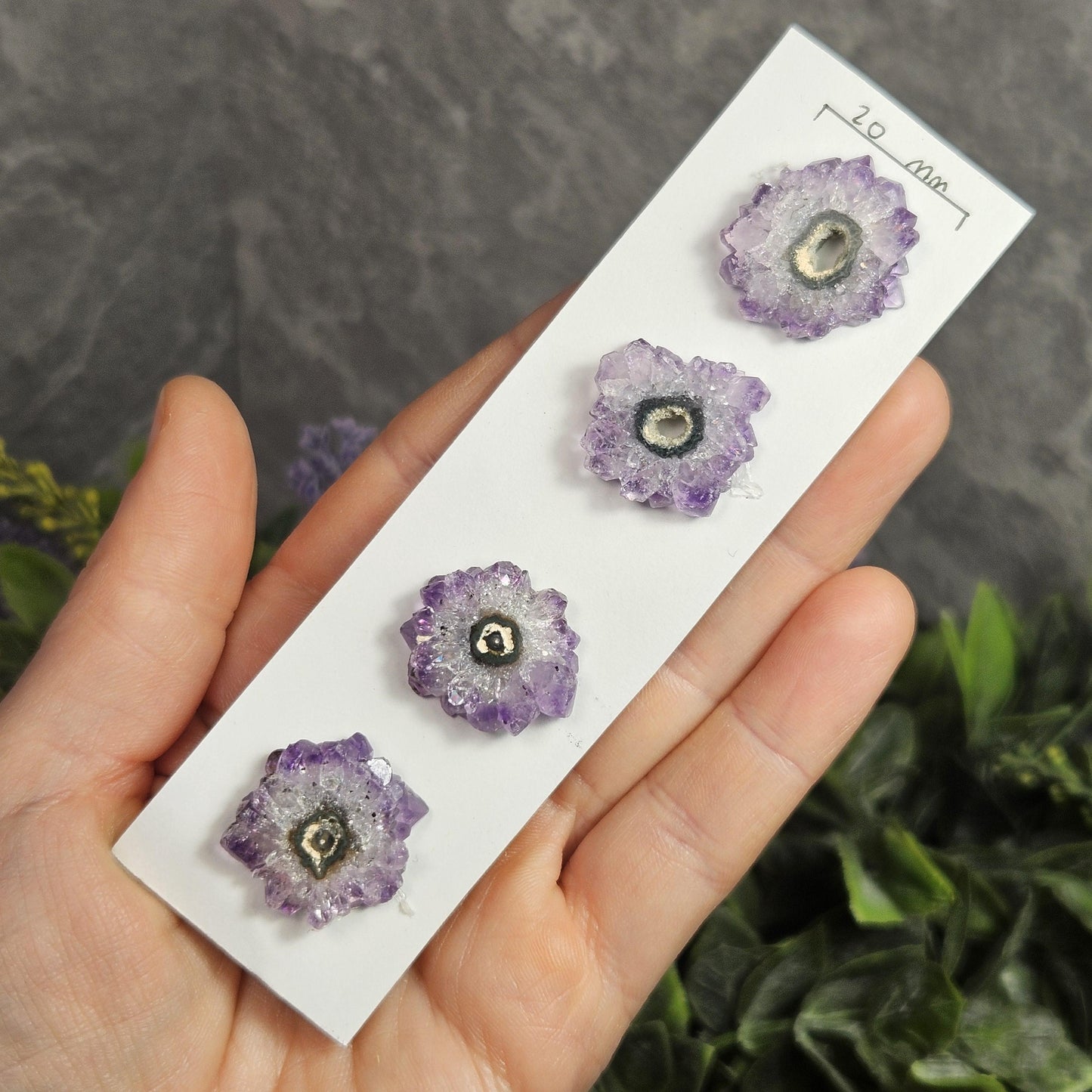 Amethyst Stalactite (Set of 4) Slices