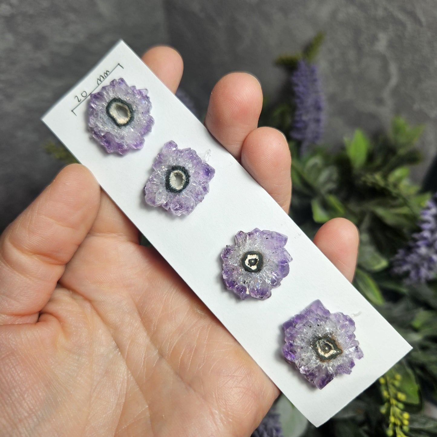 Amethyst Stalactite (Set of 4) Slices