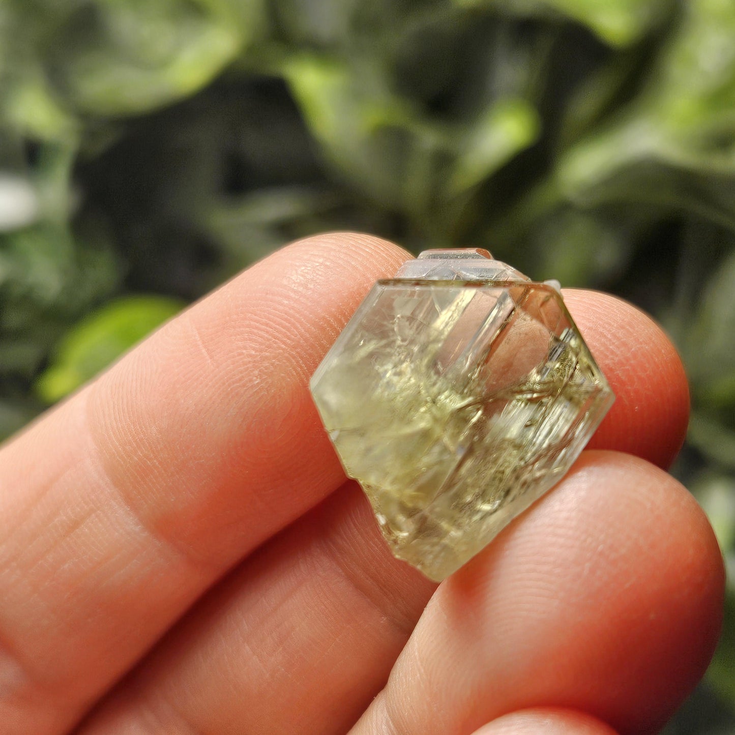 RARE Yellow Tanzanite Crystal: Raw, Terminated, Untreated Gold Tanzanite from Tanzania (3.04 grams)