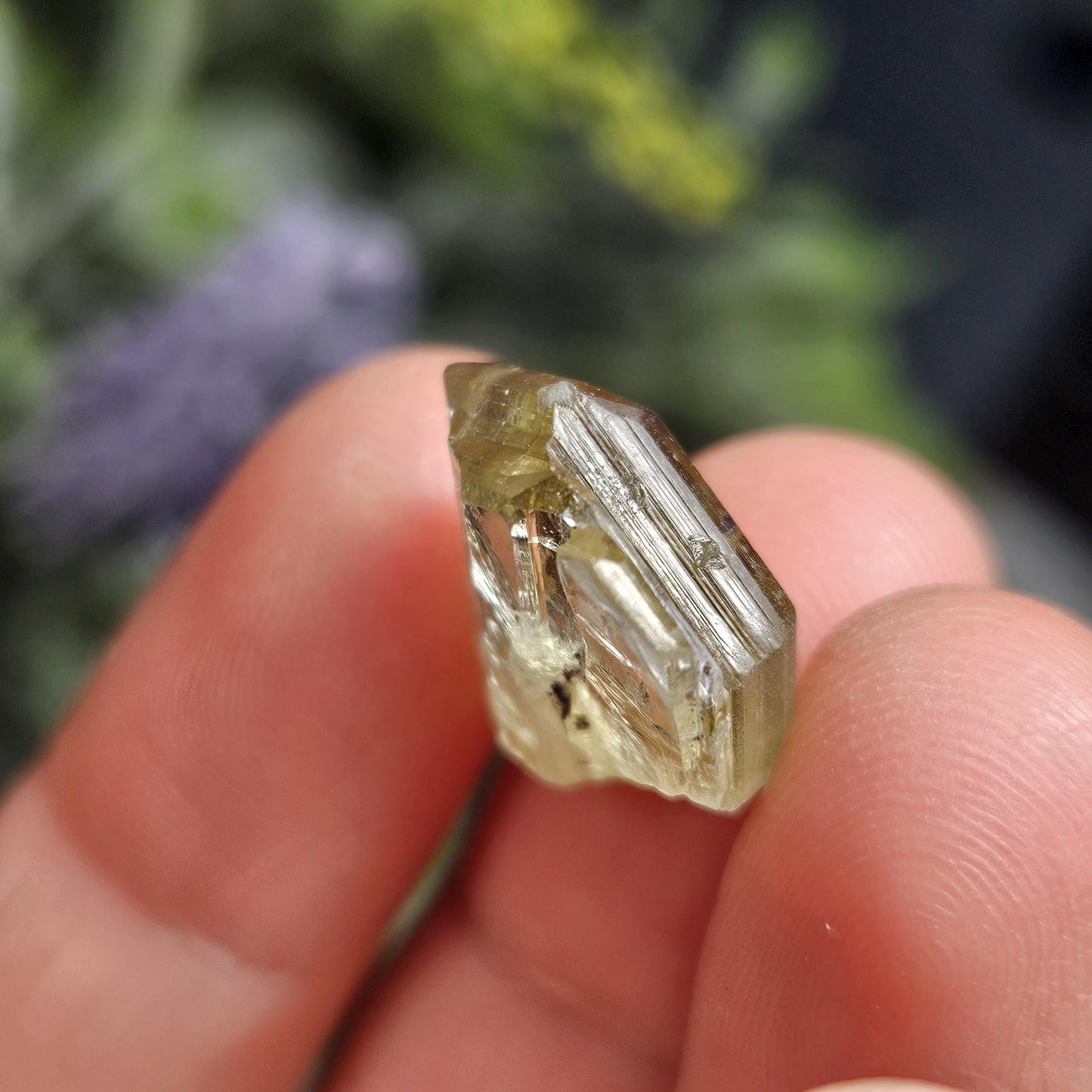 RARE Yellow Tanzanite Crystal: Raw, Terminated, Untreated Gold Tanzanite from Tanzania (3.04 grams)