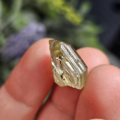 RARE Yellow Tanzanite Crystal: Raw, Terminated, Untreated Gold Tanzanite from Tanzania (3.04 grams)