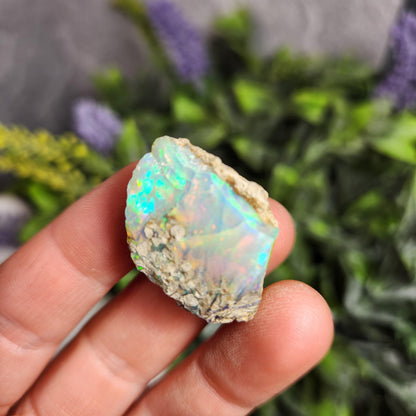 Raw Rainbow Opal Stone: 6.69g