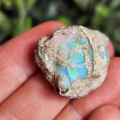 Raw Rainbow Opal Crystal (6.43 grams): Ghost Opal Specimen