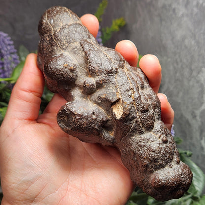 Prophecy Stone Specimen (561g): Egyptian Prophecy Crystal Pseudomorph