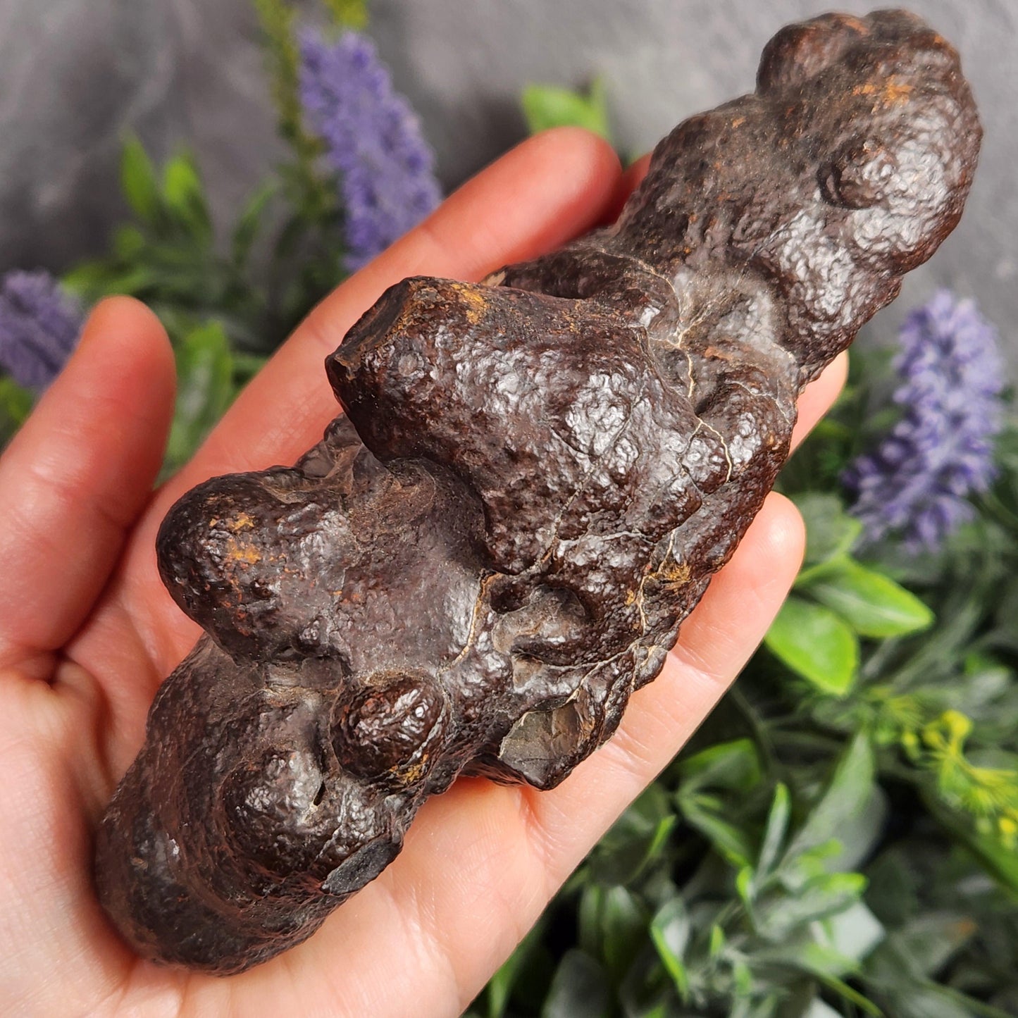 Prophecy Stone Specimen (561g): Egyptian Prophecy Crystal Pseudomorph