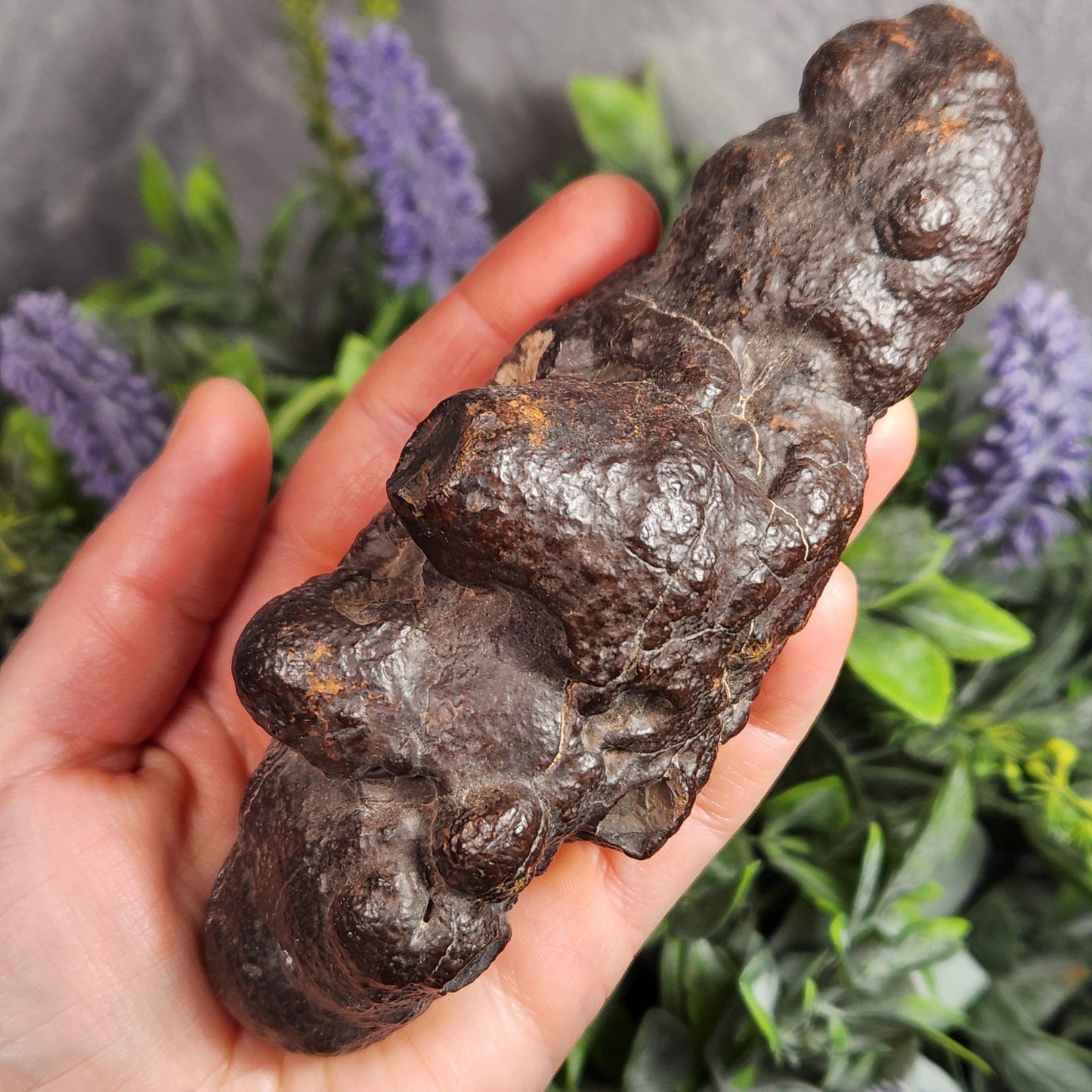 Prophecy Stone Specimen (561g): Egyptian Prophecy Crystal Pseudomorph