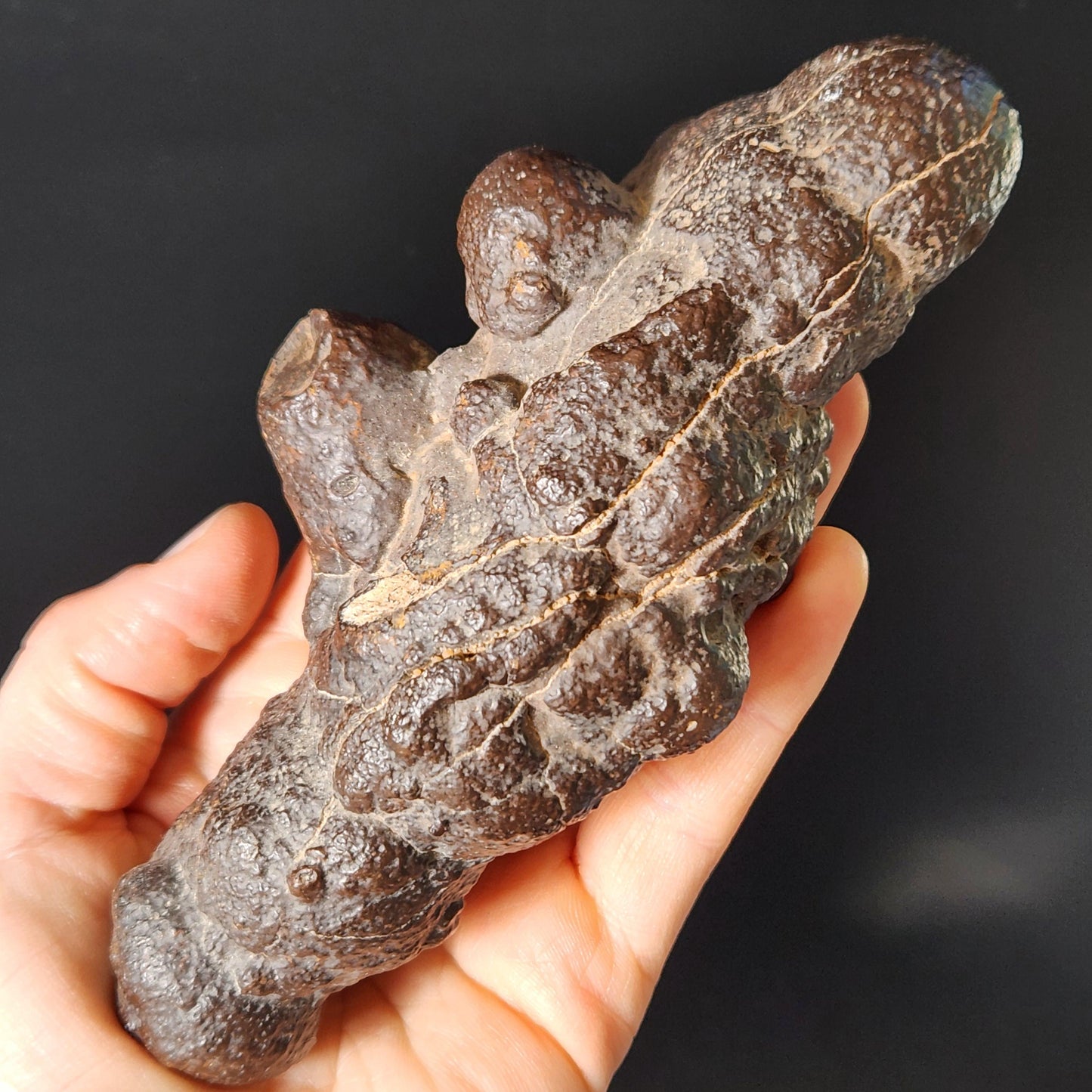 Prophecy Stone Specimen (561g): Egyptian Prophecy Crystal Pseudomorph
