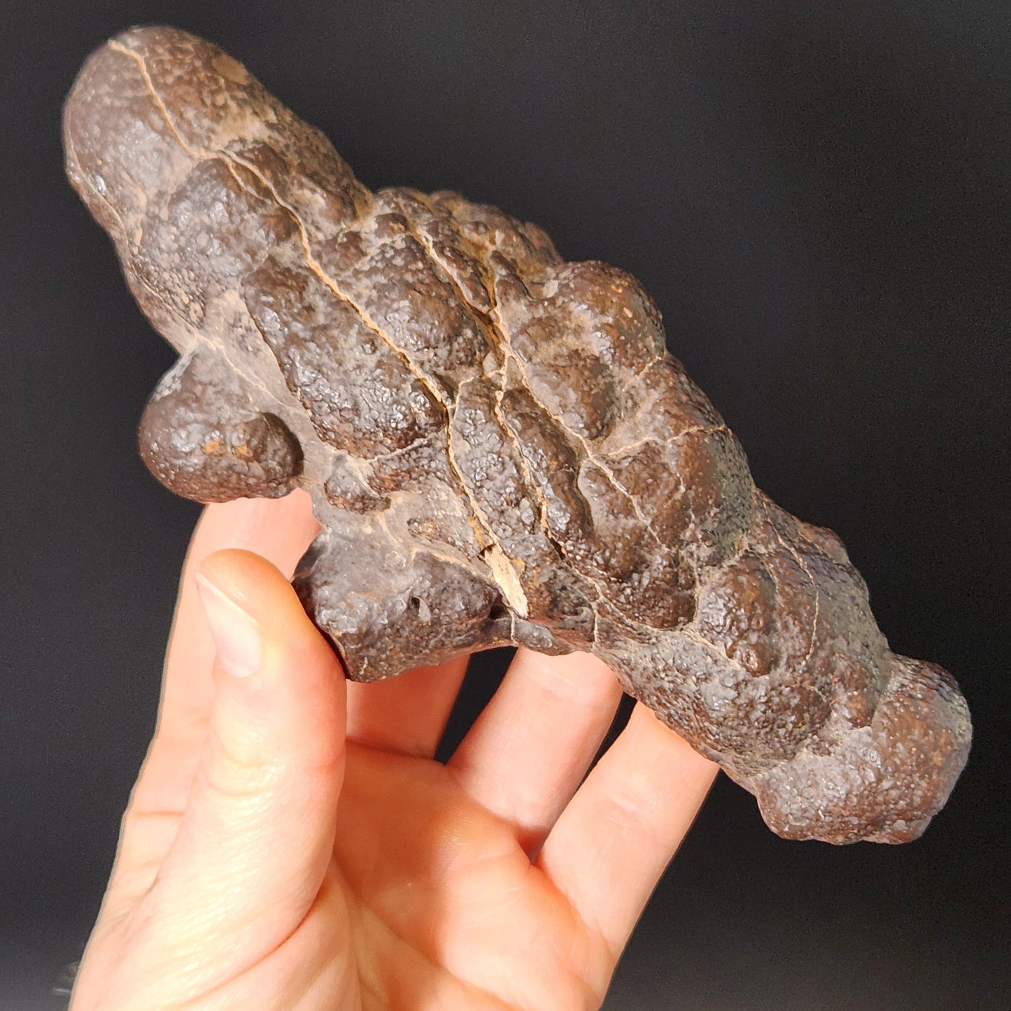Prophecy Stone Specimen (561g): Egyptian Prophecy Crystal Pseudomorph
