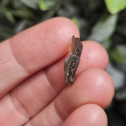 Angel Chime Moldavite (.53g) Moldavite