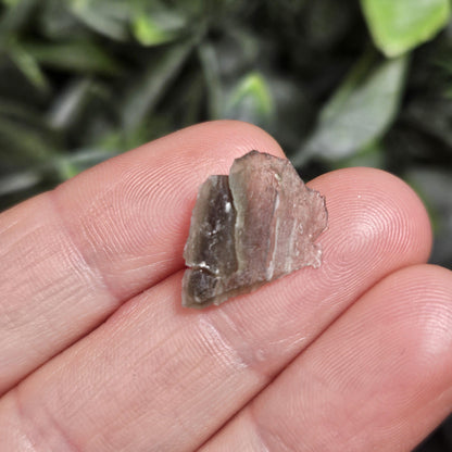 Angel Chime Moldavite (.53g) Moldavite