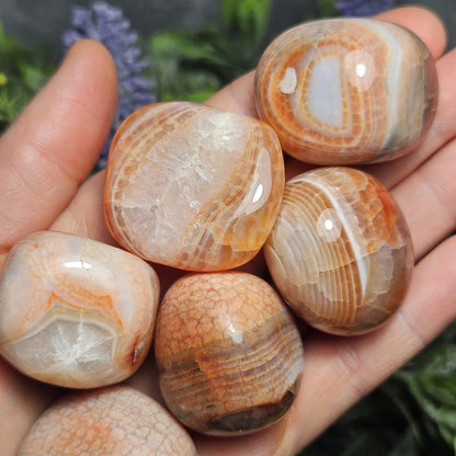 Fire Agate Tumbled Stone (1