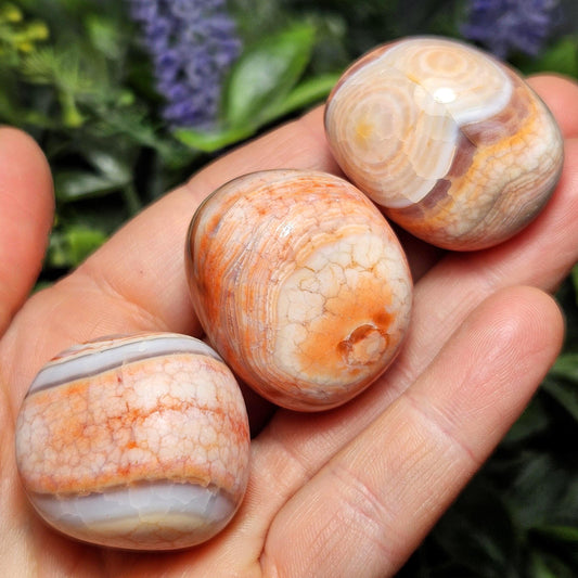 Fire Agate Tumbled Stone (1