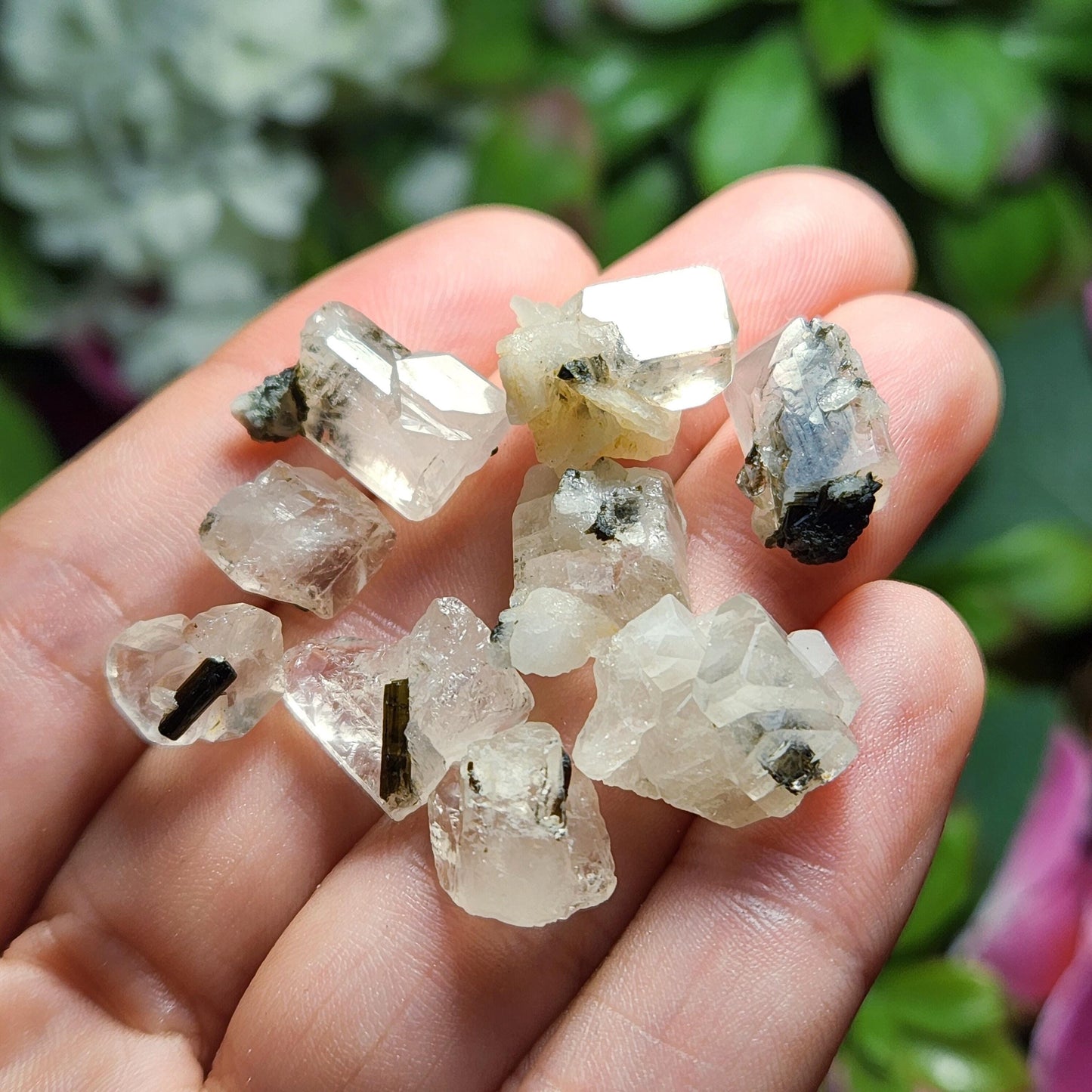 Clear Topaz with Tourmaline Blades – Rare Pakistan Raw Crystal Specimen Combo