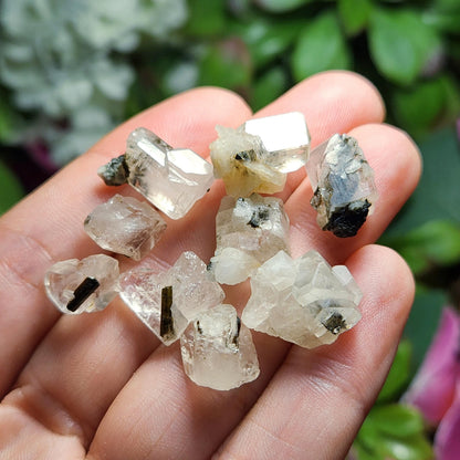 Clear Topaz with Tourmaline Blades – Rare Pakistan Raw Crystal Specimen Combo