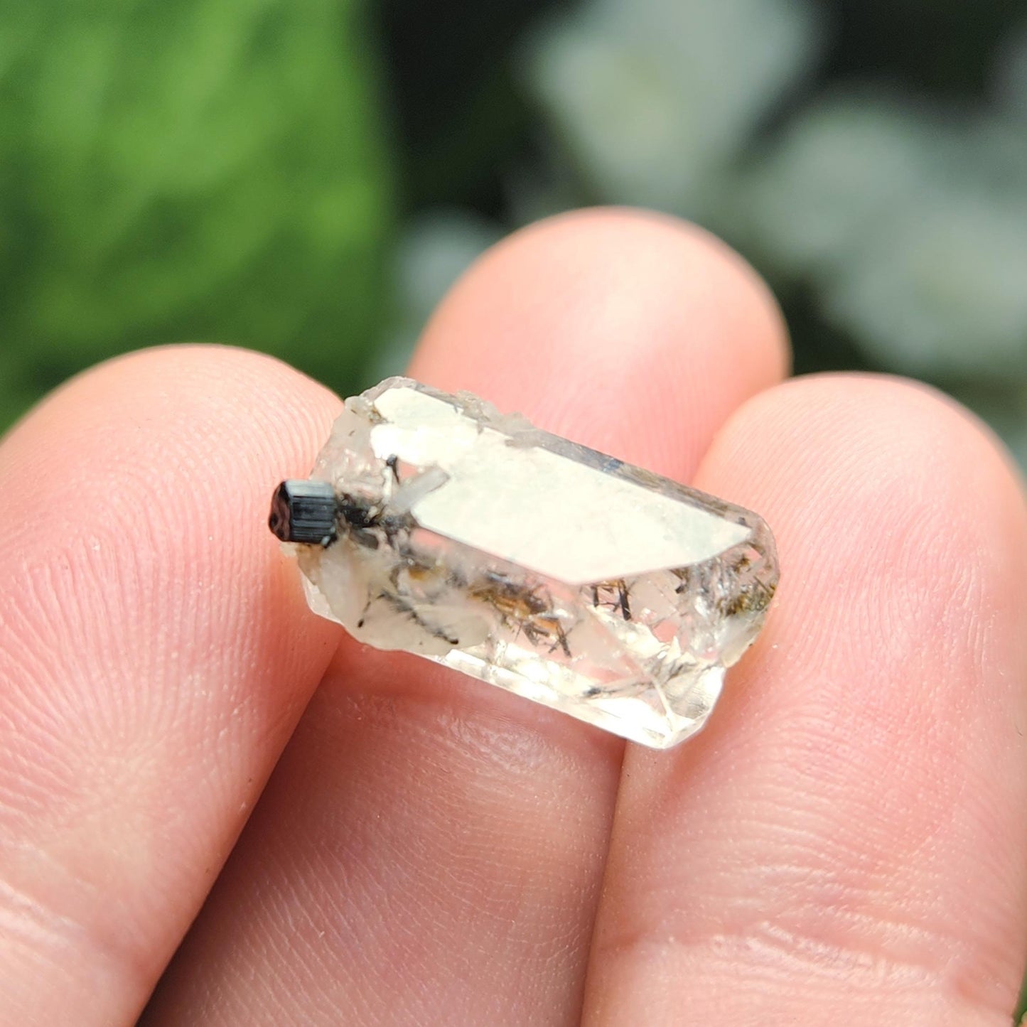 Clear Topaz with Tourmaline Blades – Rare Pakistan Raw Crystal Specimen Combo