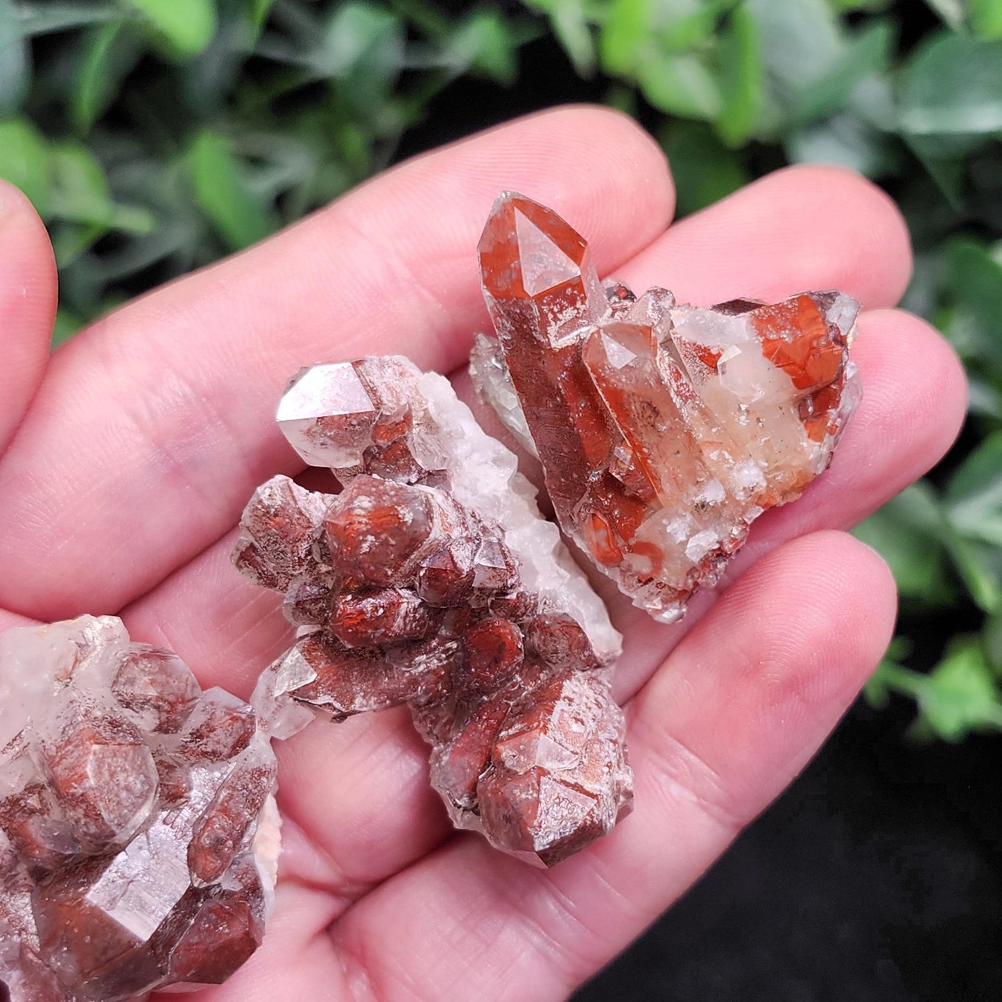 Orange River Phantom Quartz Crystal Cluster: Hematite Inclusions