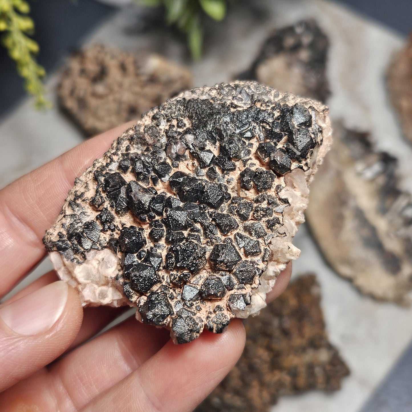 Black Hematite Quartz Cluster: Madagascar Black Quartz Crystals