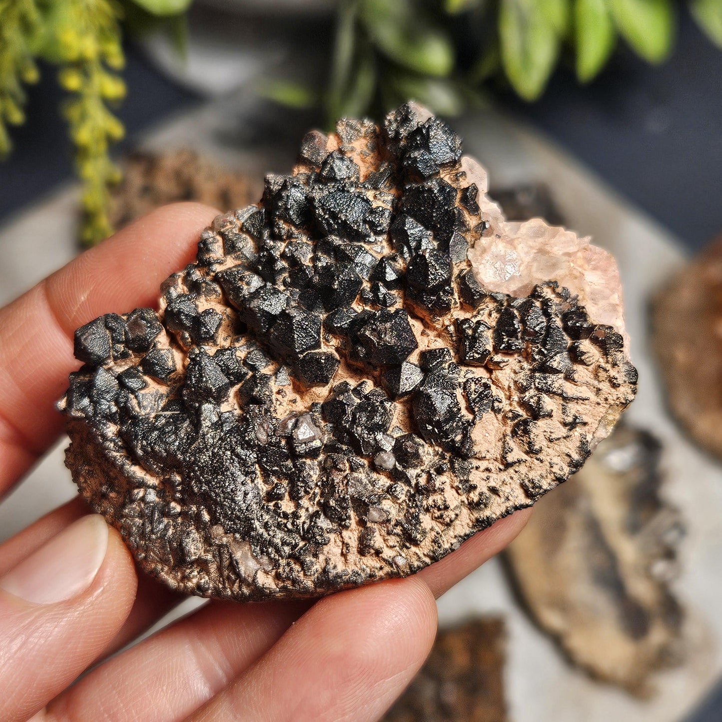 Black Hematite Quartz Cluster: Madagascar Black Quartz Crystals