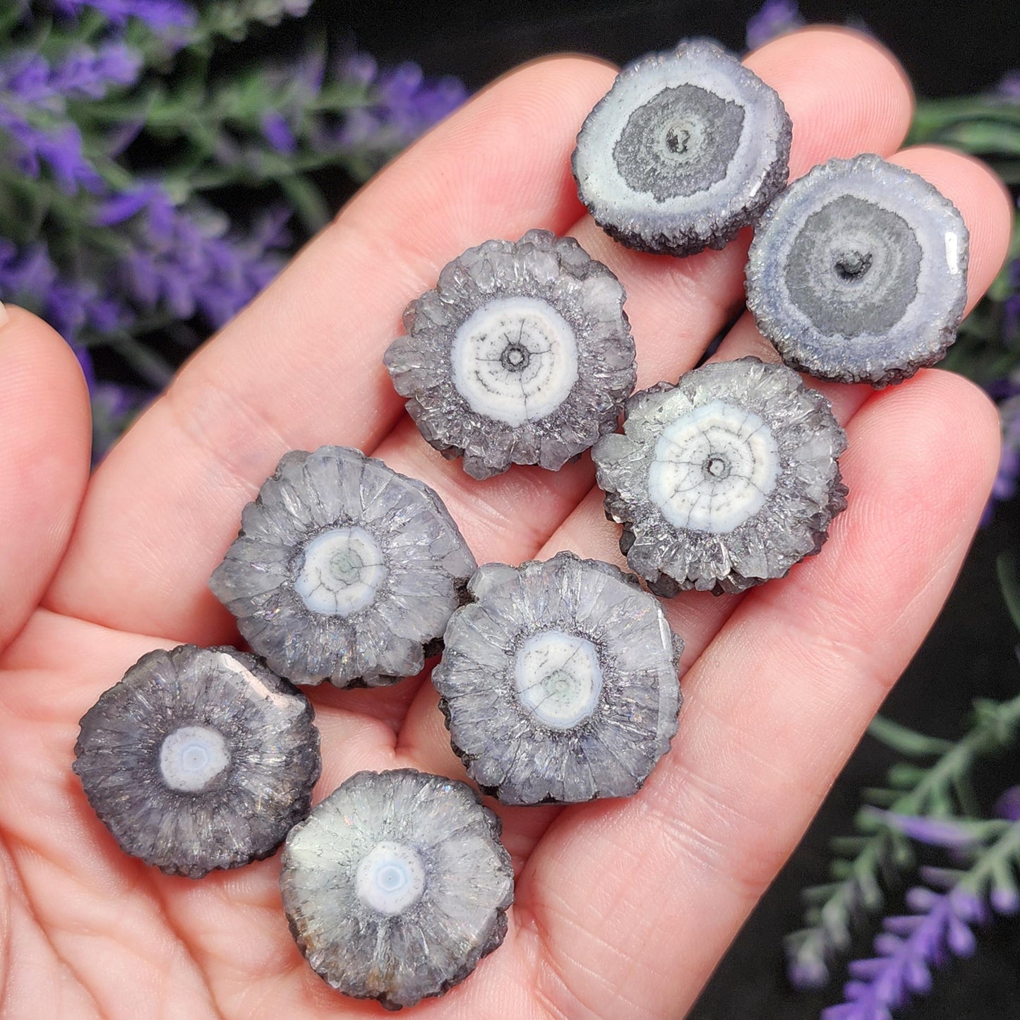 Solar Quartz Stalactite Slices: Single Slice or Pair of Slices, Solar Quartz Crystal, Solar Crystal Slice