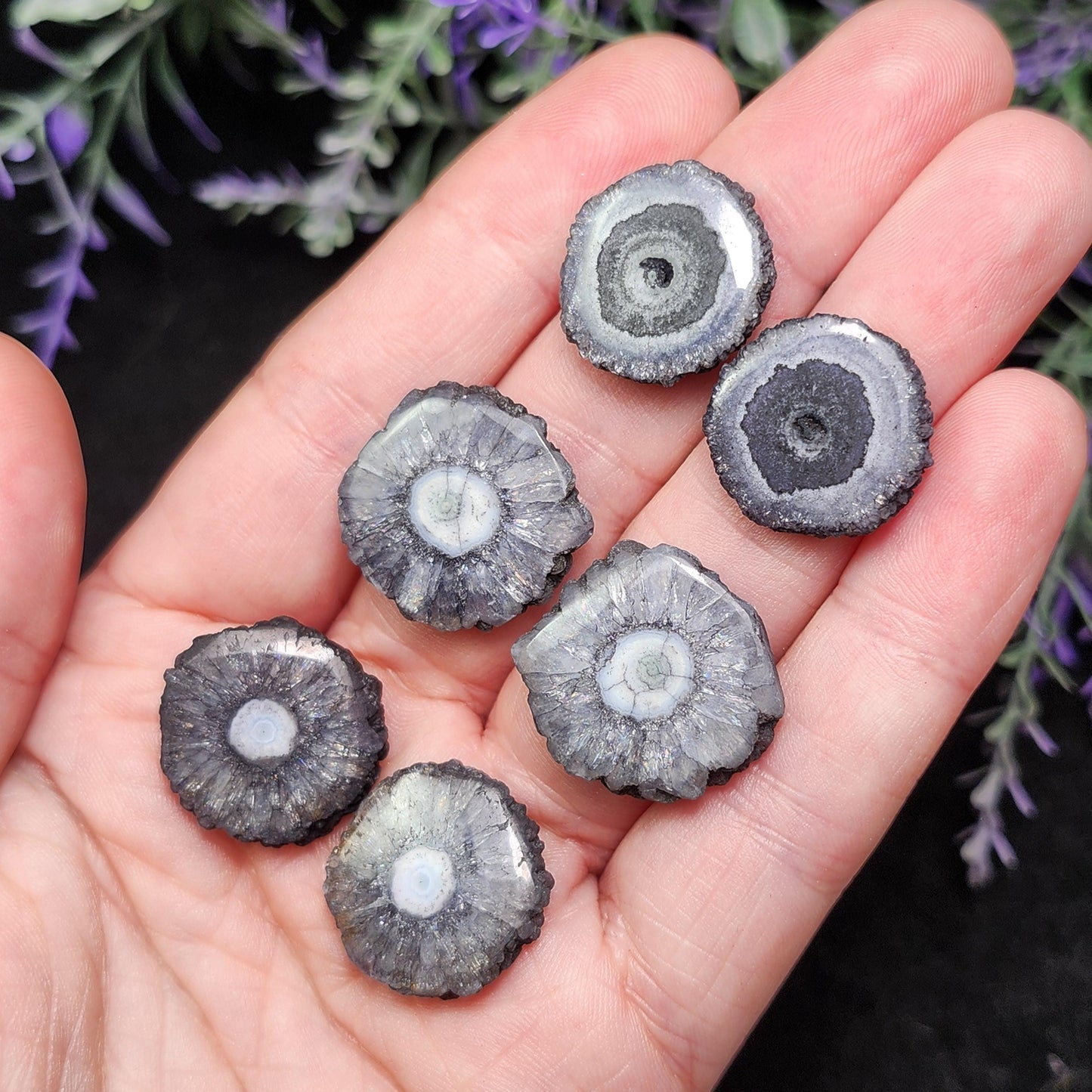 Solar Quartz Stalactite Slices: Single Slice or Pair of Slices, Solar Quartz Crystal, Solar Crystal Slice