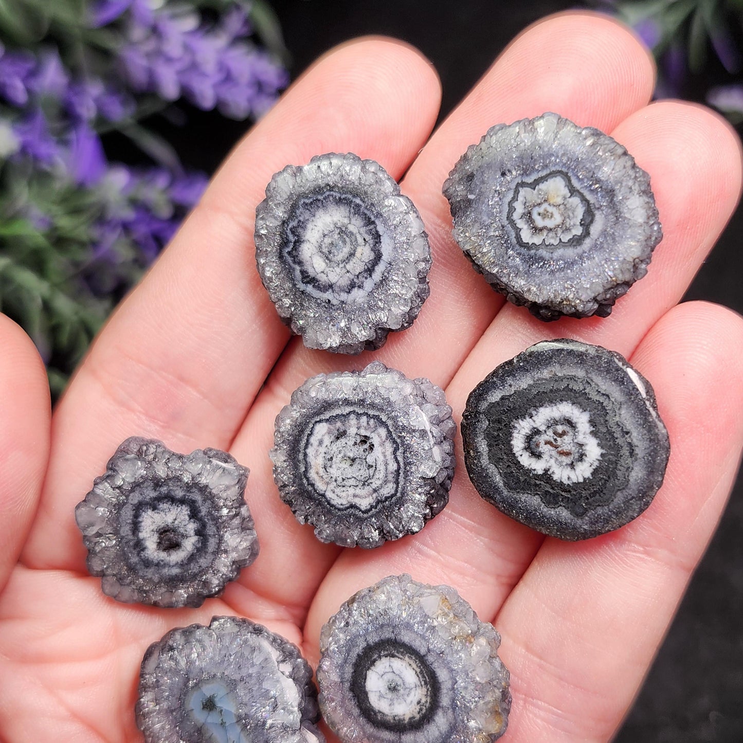 Solar Quartz Stalactite Slices: Single Slice or Pair of Slices, Solar Quartz Crystal, Solar Crystal Slice