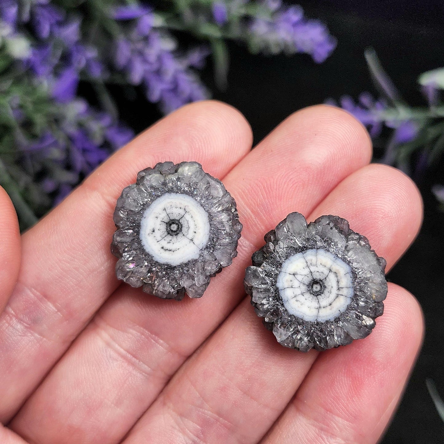 Solar Quartz Stalactite Slices: Single Slice or Pair of Slices, Solar Quartz Crystal, Solar Crystal Slice