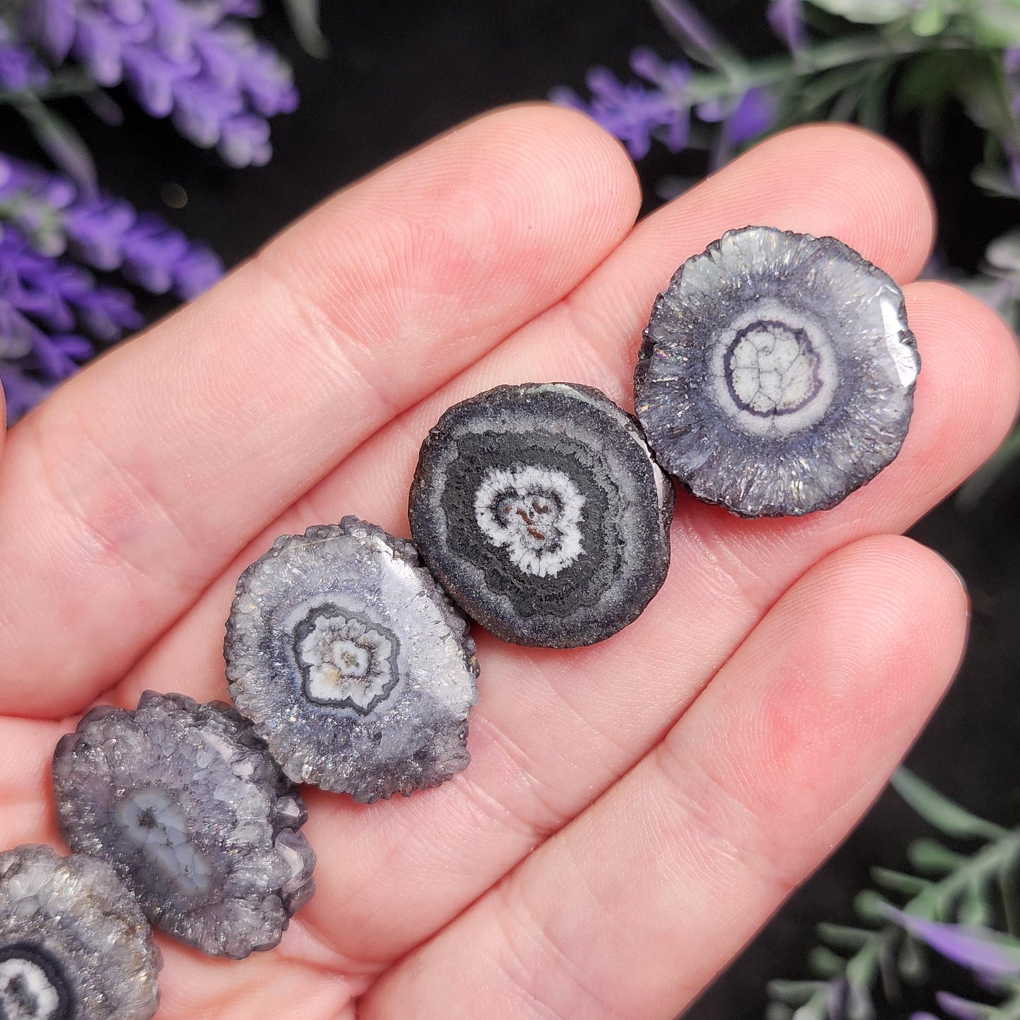 Solar Quartz Stalactite Slices: Single Slice or Pair of Slices, Solar Quartz Crystal, Solar Crystal Slice