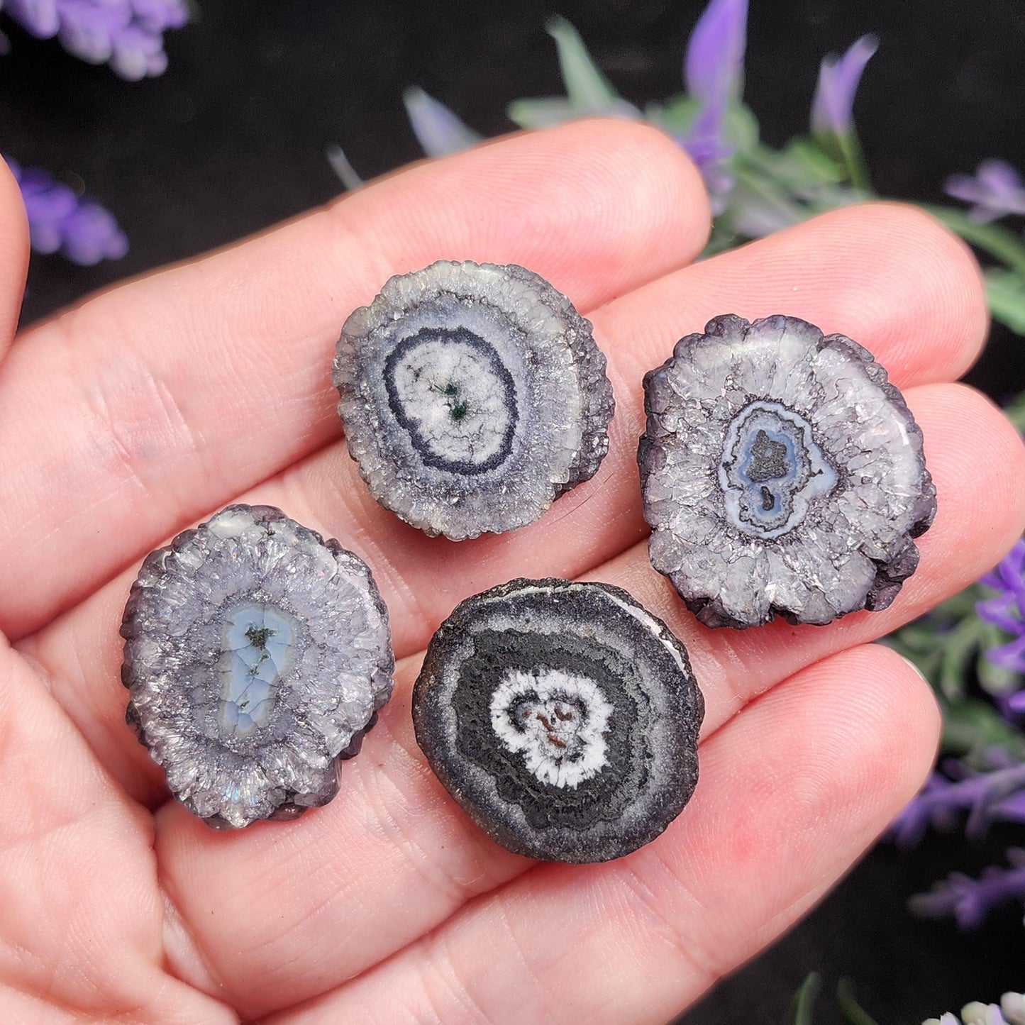 Solar Quartz Stalactite Slices: Single Slice or Pair of Slices, Solar Quartz Crystal, Solar Crystal Slice
