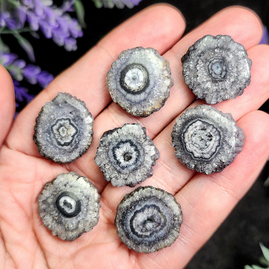 Solar Quartz Stalactite Slices: Single Slice or Pair of Slices, Solar Quartz Crystal, Solar Crystal Slice