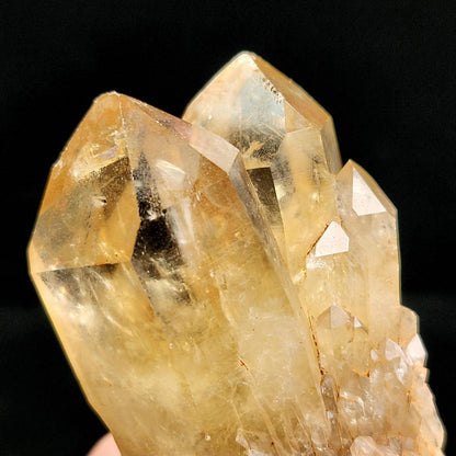 TWIN FLAME Kundalini Citrine 271g