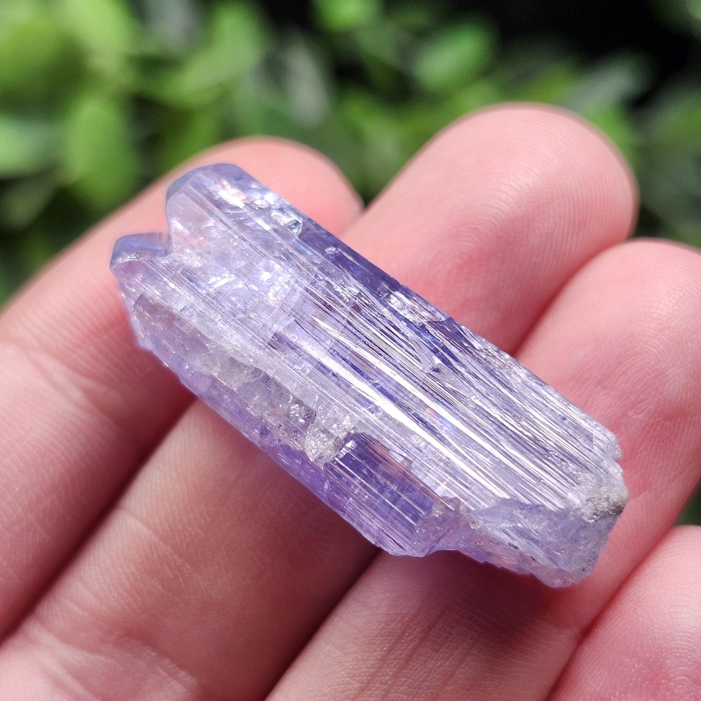 Tanzanite Crystal 11g