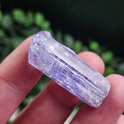 Tanzanite Crystal 11g