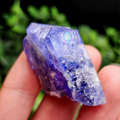 HUGE Tanzanite Crystal with Rainbows 30.46g