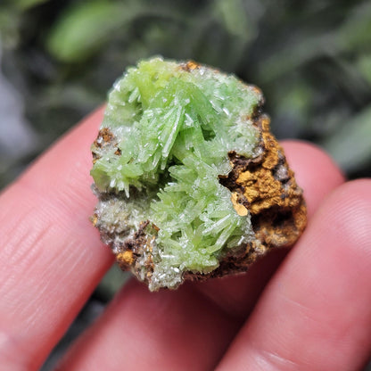 Starburst Pyromorphite Crystal