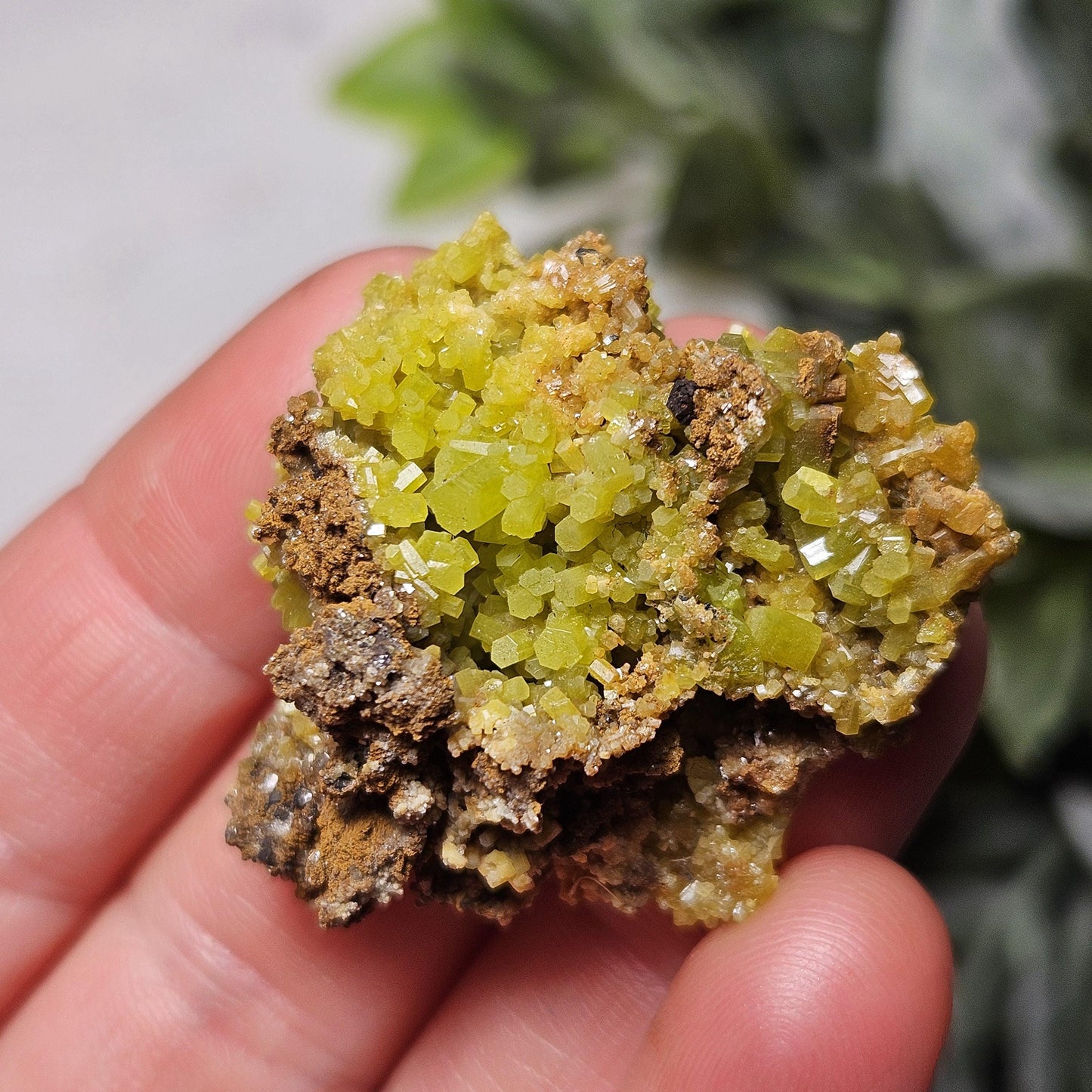 Pyromorphite Crystal