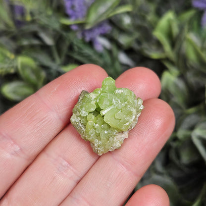 Pyromorphite Crystal Specimen