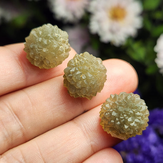 Star Chalcedony from Morocco