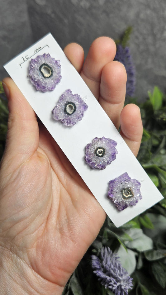 Amethyst Stalactite (Set of 4) Slices