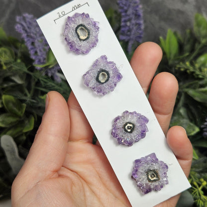 Amethyst Stalactite (Set of 4) Slices