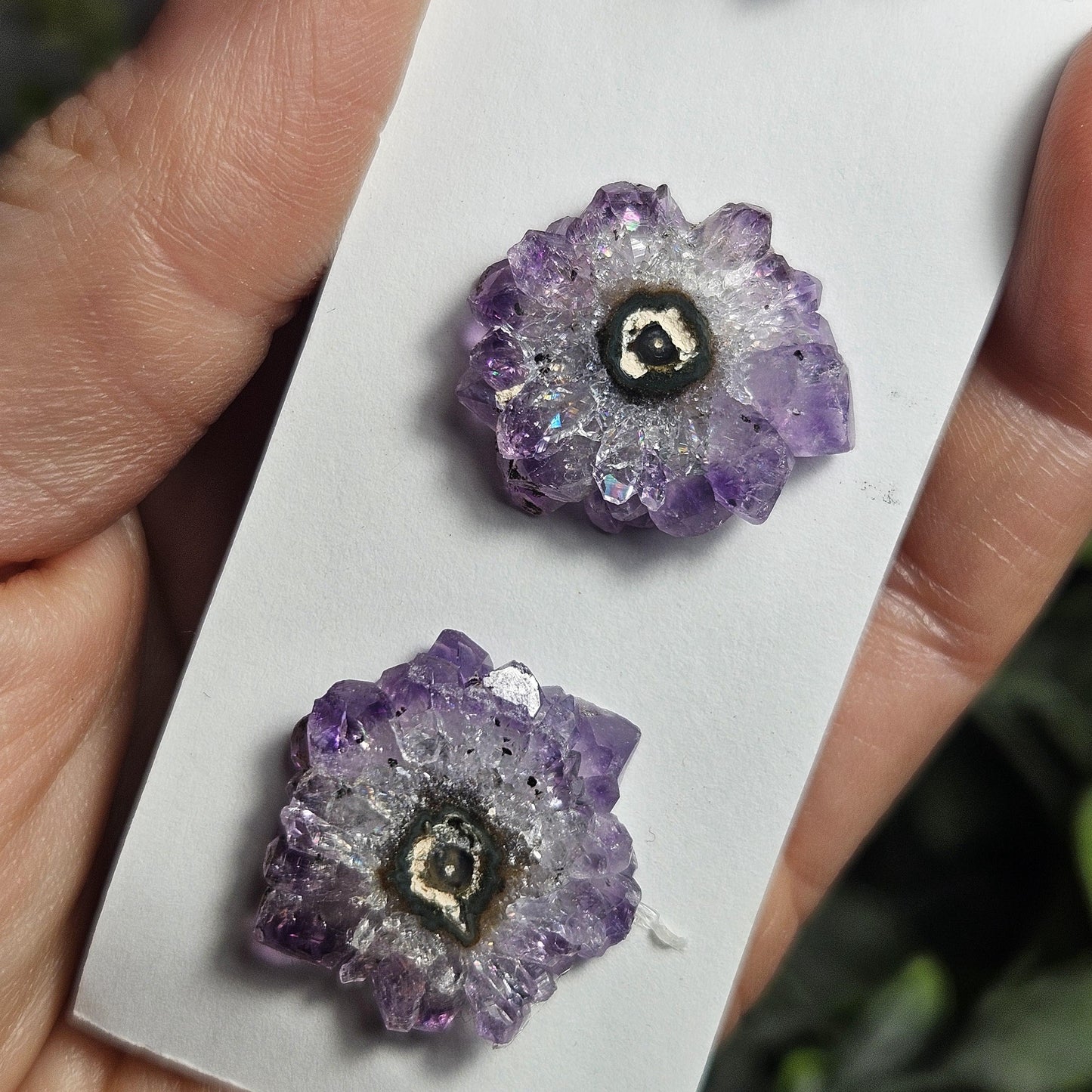 Amethyst Stalactite (Set of 4) Slices