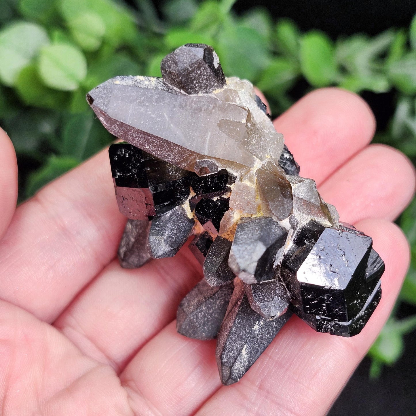 Black Tourmaline & Smoky Quartz 62g