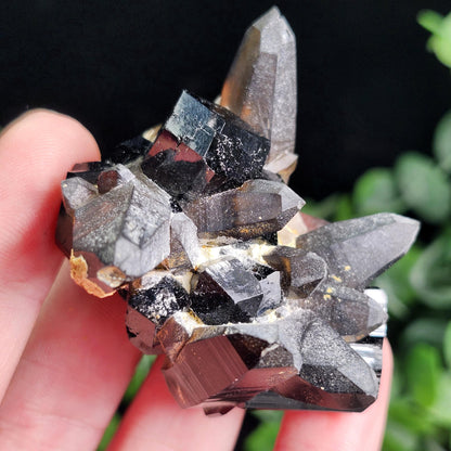 Black Tourmaline & Smoky Quartz 62g
