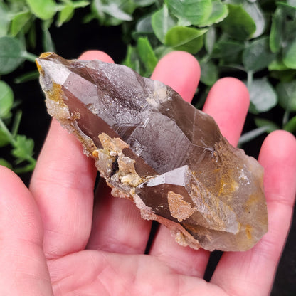 Hyalite Opal Smoky Quartz 120g