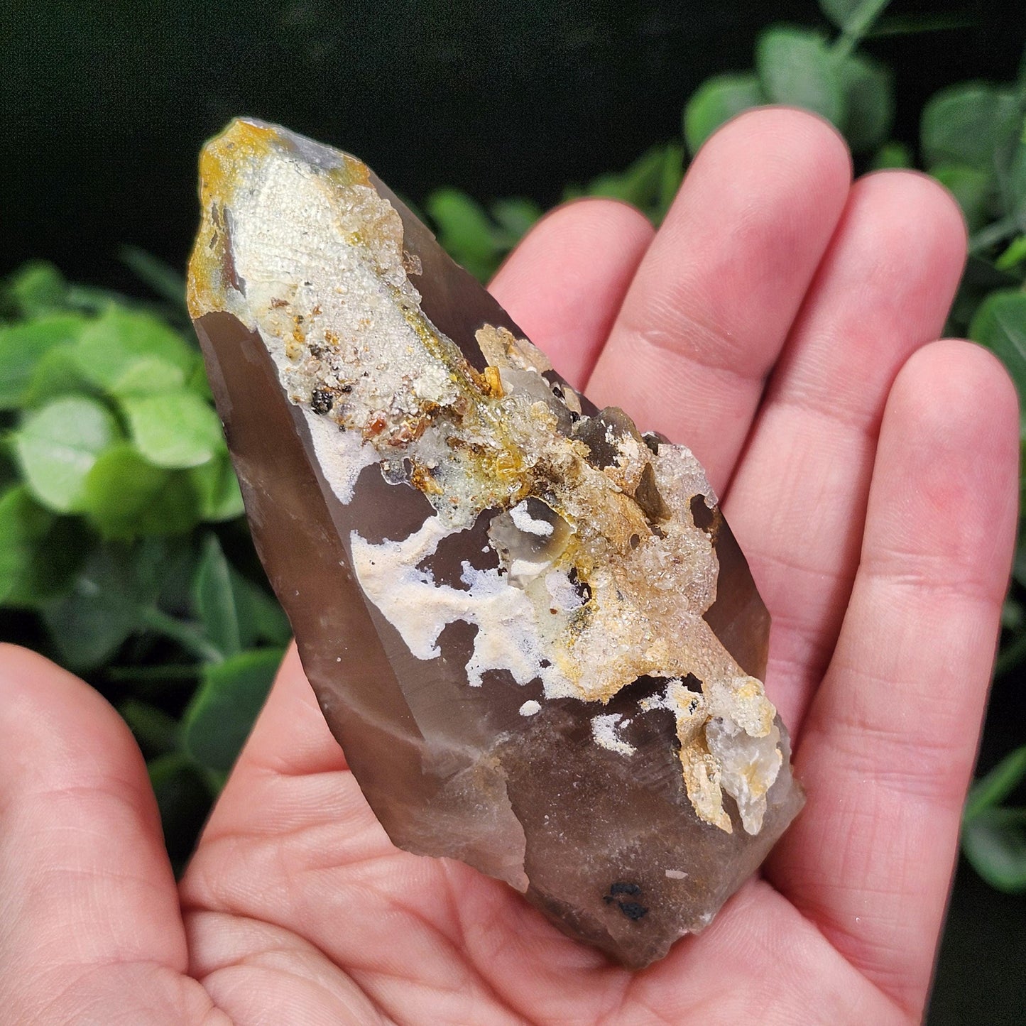 Hyalite Opal Smoky Quartz 120g