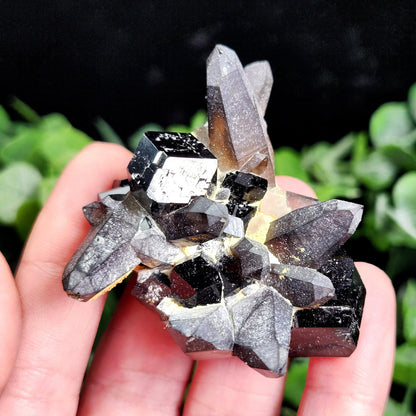 Black Tourmaline & Smoky Quartz 62g