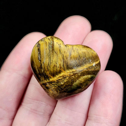 Tigers Eye Heart